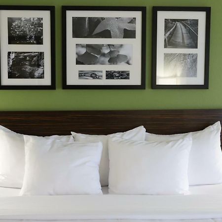 Sleep Inn & Suites Belmont - St. Clairsville Esterno foto